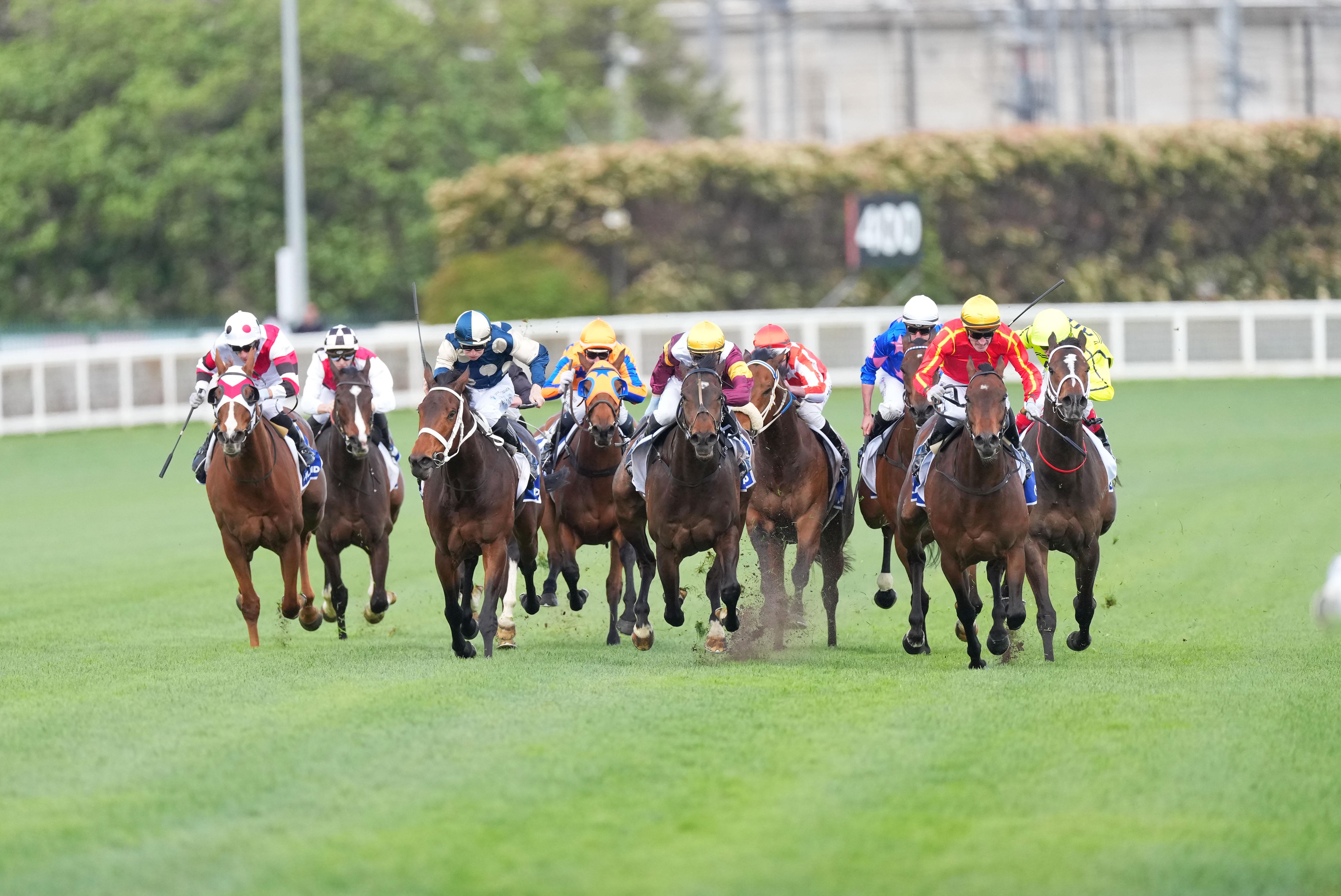 members registration